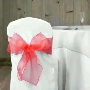 Brand New Organza Sash 10 Pack-Red